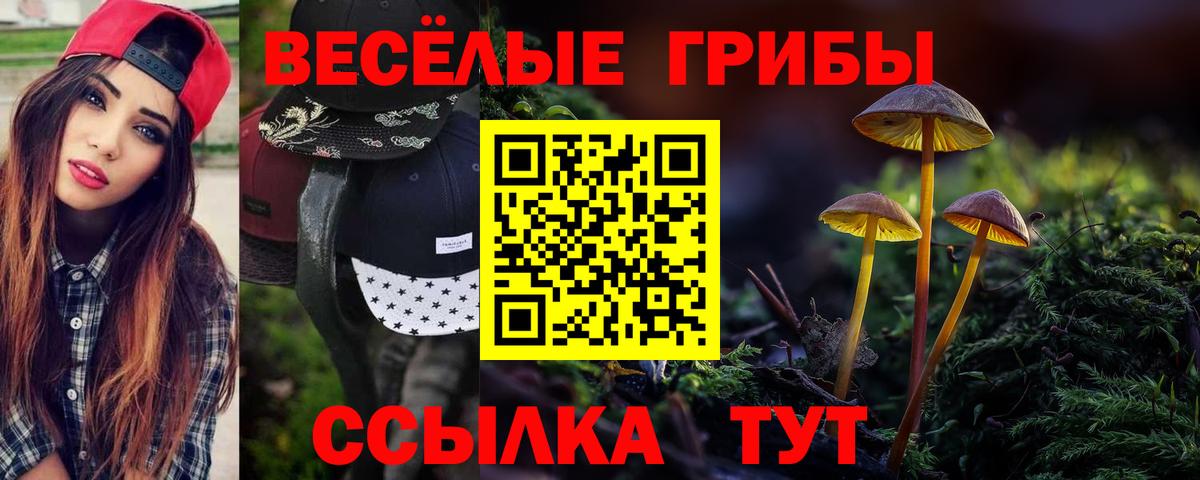 Псилоцибиновые грибы Psilocybine cubensis Лосино-Петровский