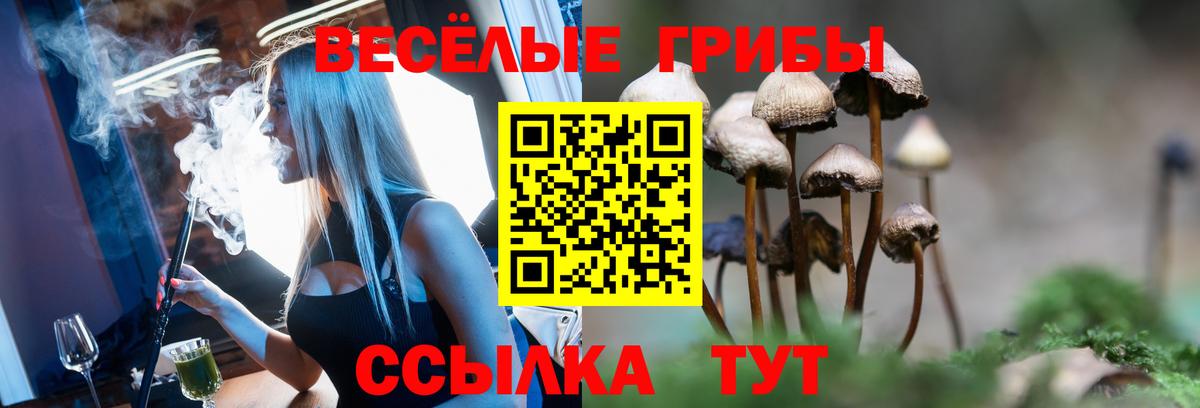 Лосино-Петровский  Галлюциногенные грибы мухоморы  Галлюциногенные грибы Psilocybe  Вход с VPN 